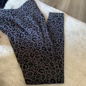 Kamo fineness bottoms